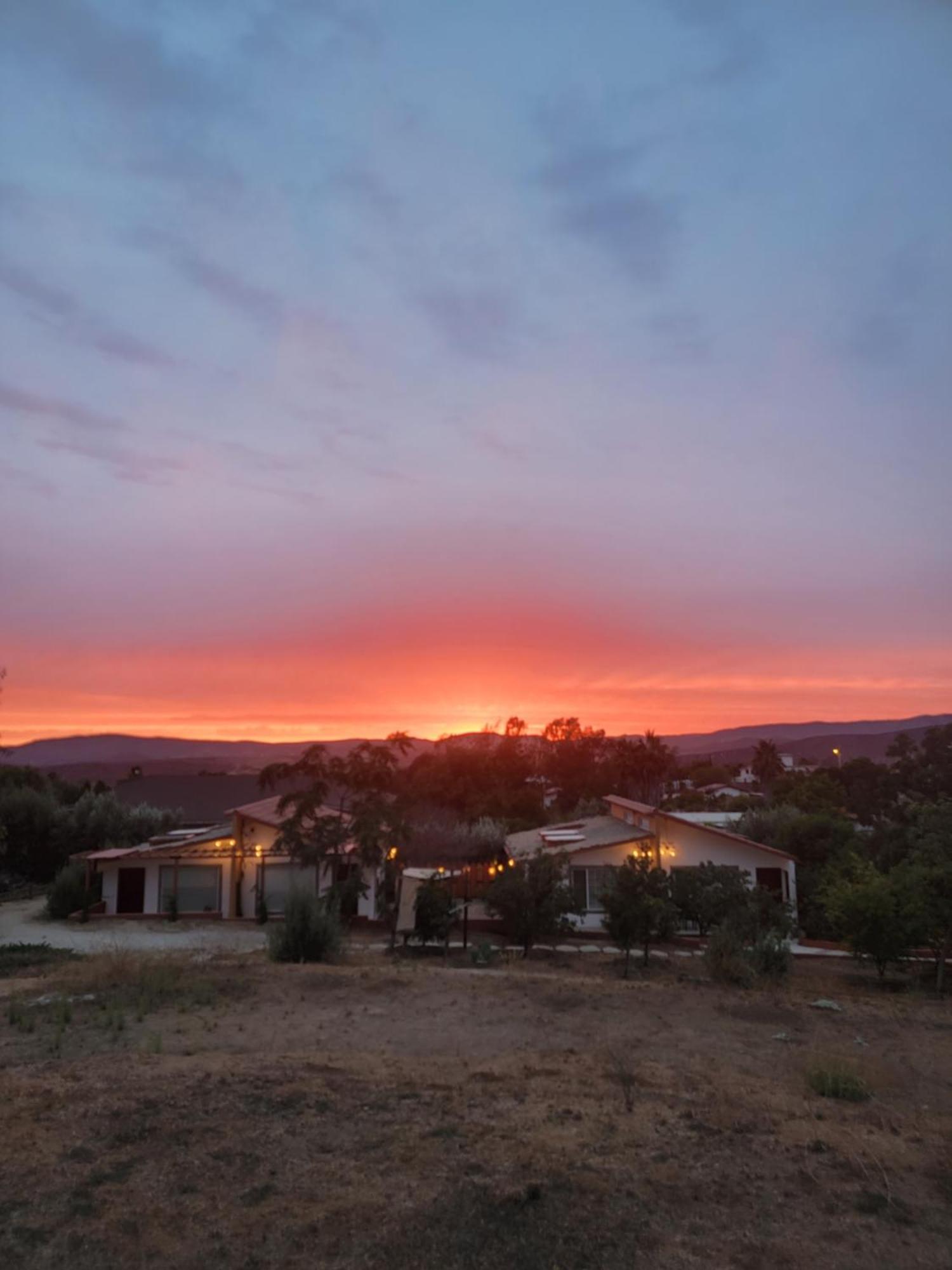 Tierra Mía Hermosa Hacienda en Valle de Guadalupe Exterior foto