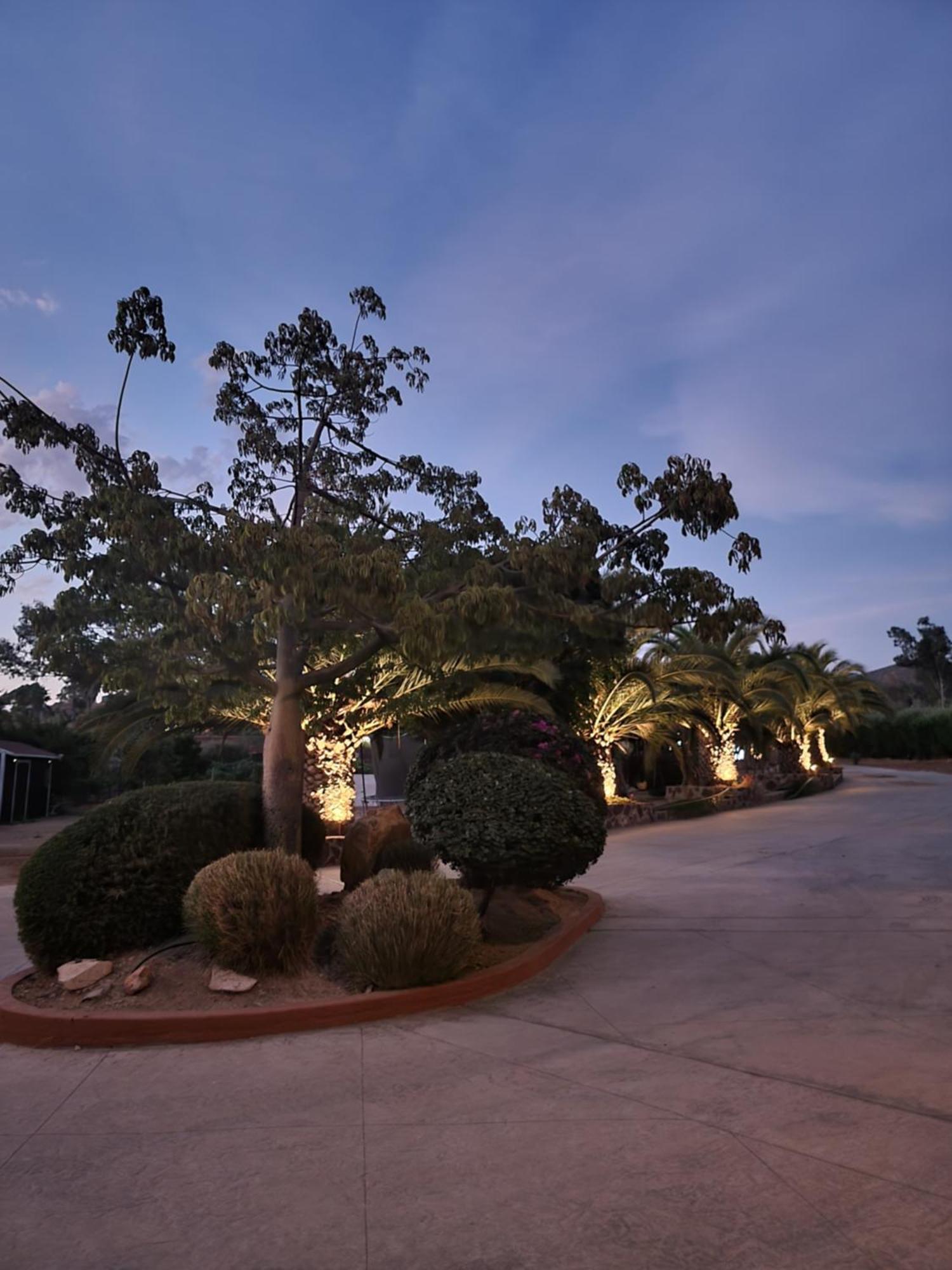 Tierra Mía Hermosa Hacienda en Valle de Guadalupe Exterior foto