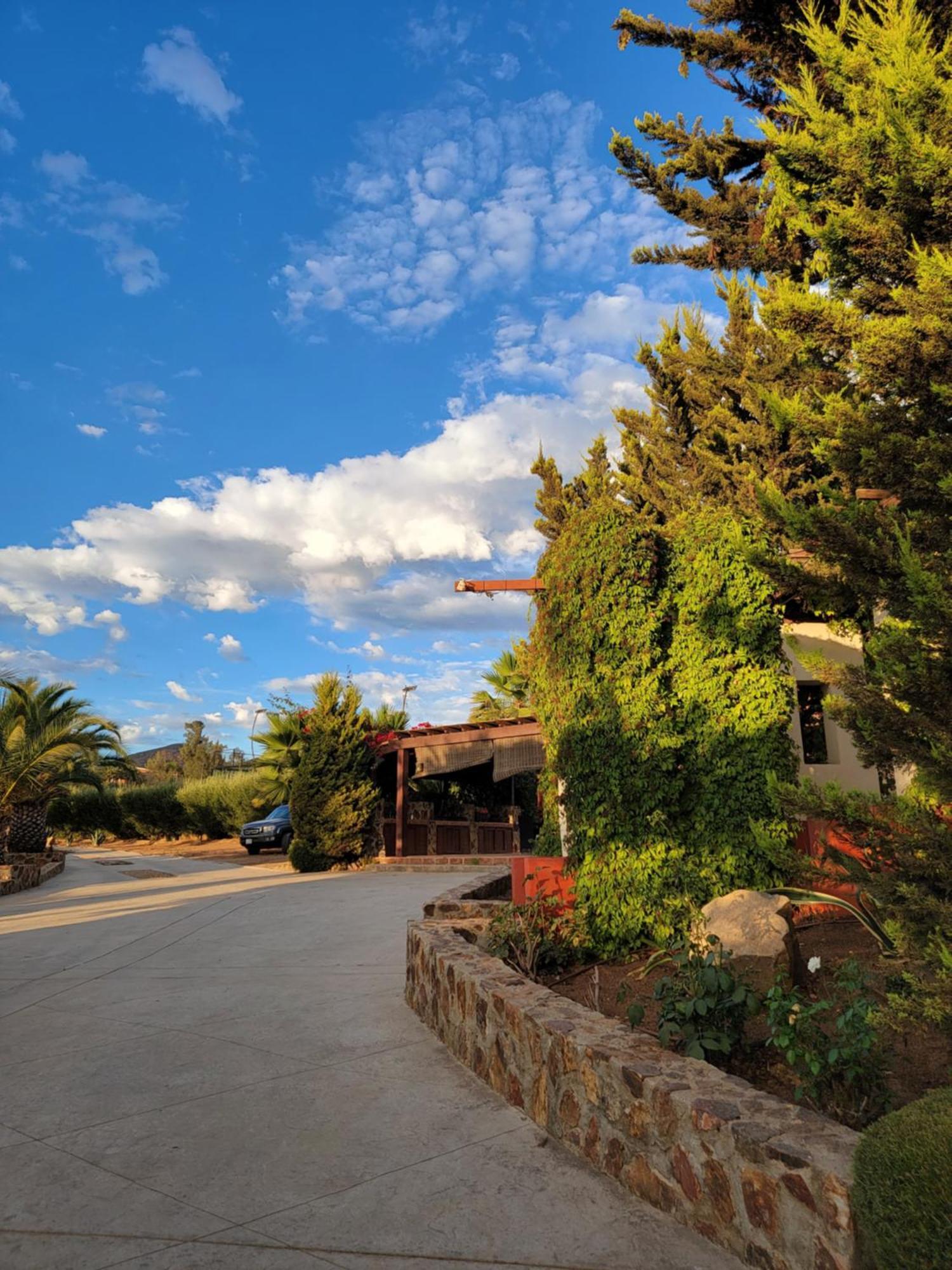 Tierra Mía Hermosa Hacienda en Valle de Guadalupe Exterior foto