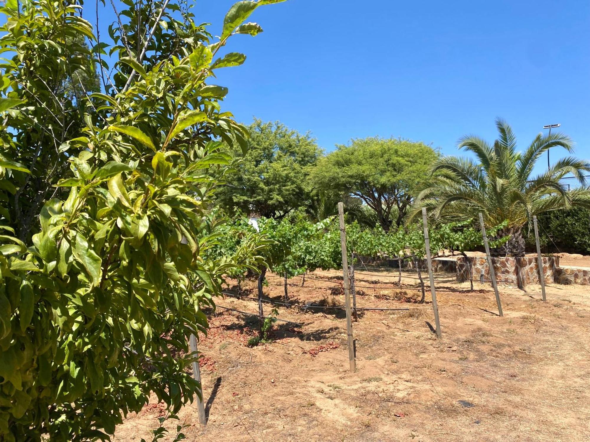Tierra Mía Hermosa Hacienda en Valle de Guadalupe Exterior foto