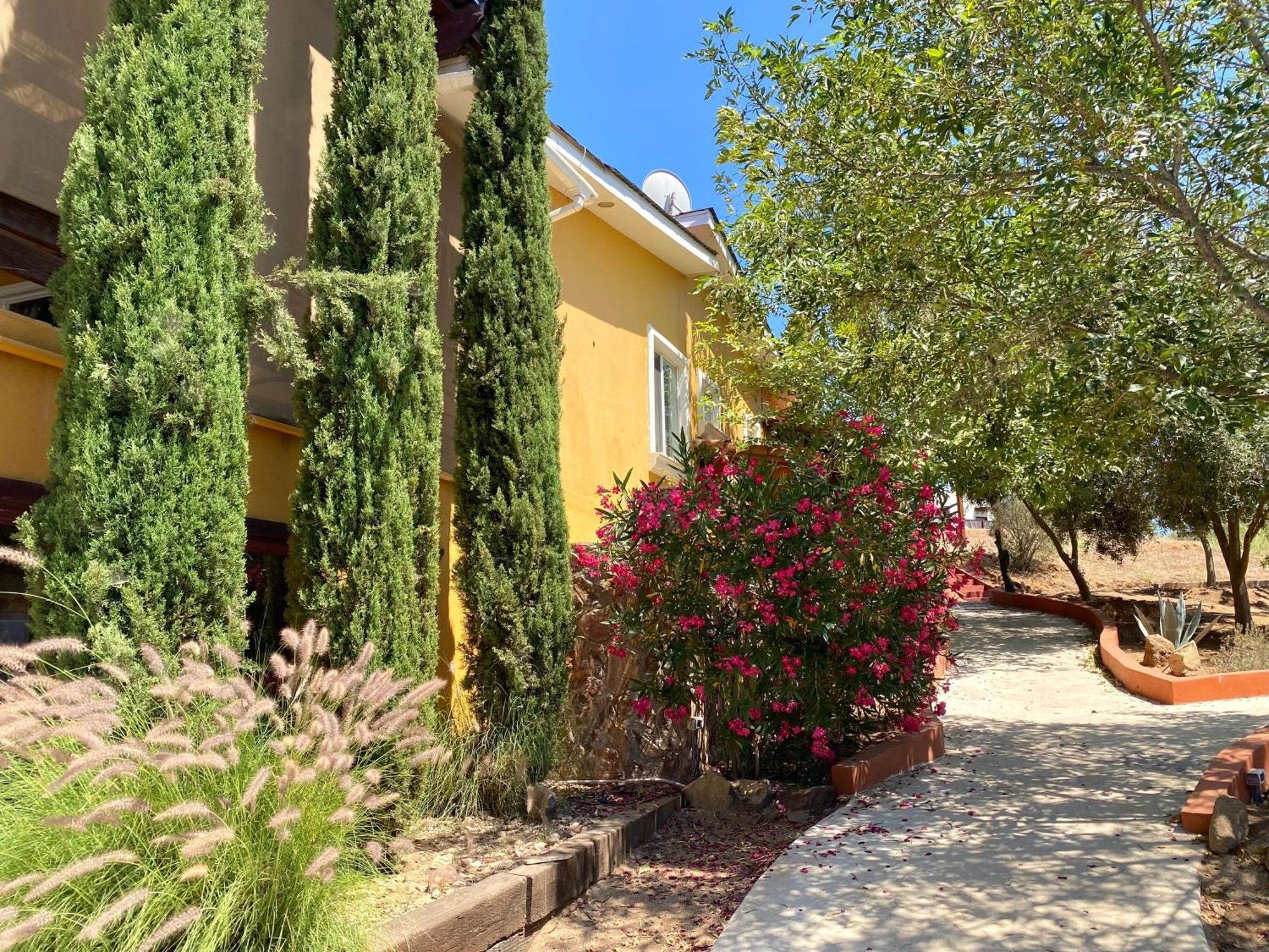 Tierra Mía Hermosa Hacienda en Valle de Guadalupe Exterior foto