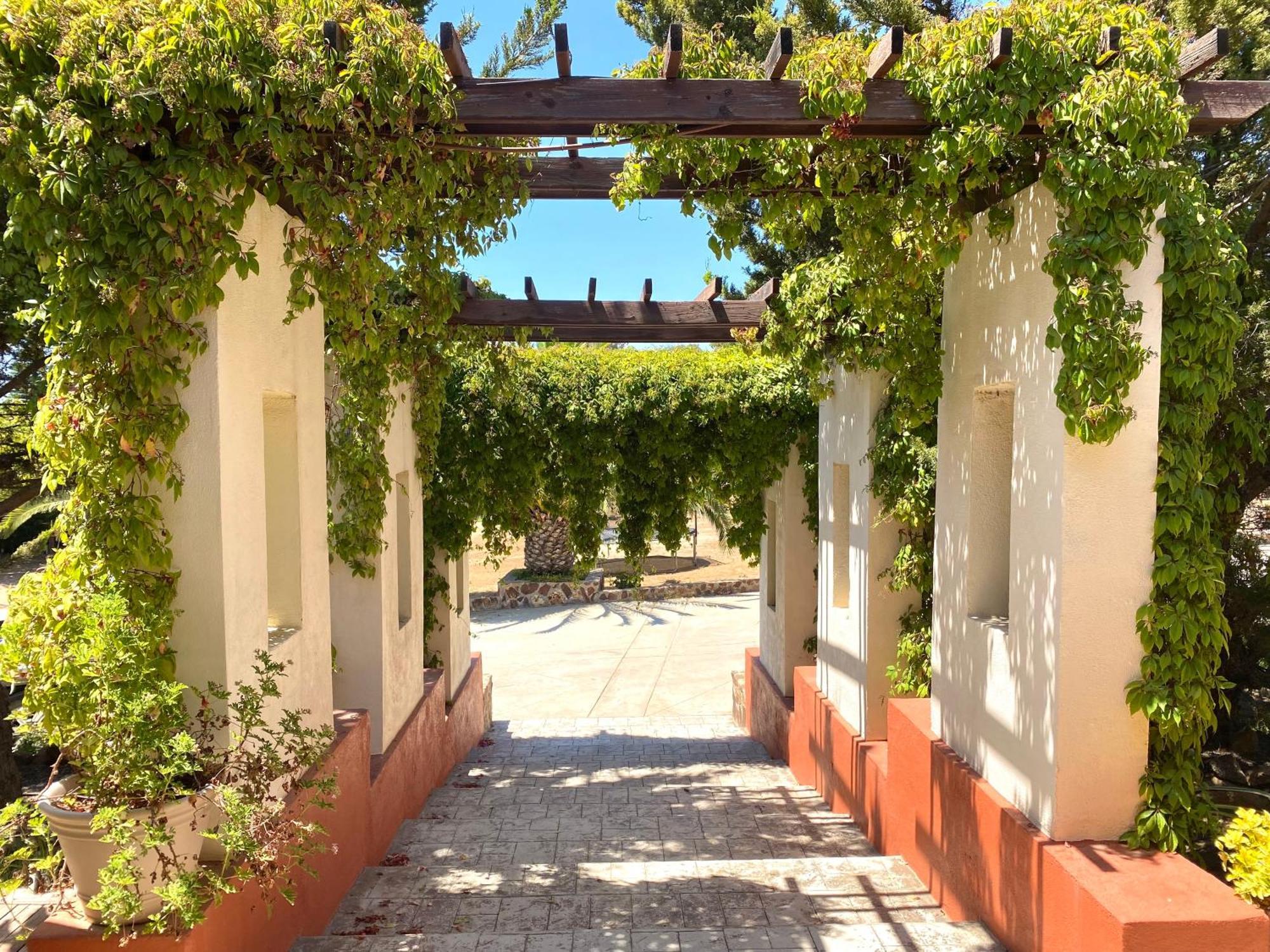 Tierra Mía Hermosa Hacienda en Valle de Guadalupe Exterior foto